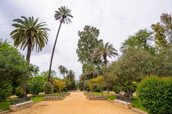 パルケ ・ デ ・ マリア ・ ルイーザ ・ マリア ・ ルイサ公園セビリア、アンダルシア、スペイン — ストック写真