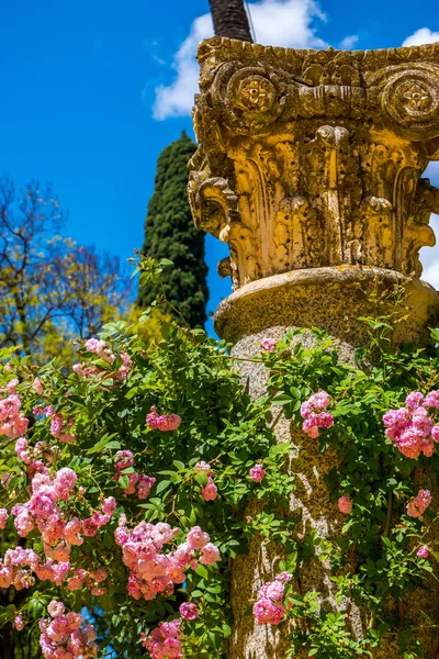 Sevilla Endülüs İspanya'da Gerçek Alcazar Bahçeleri — Stok fotoğraf