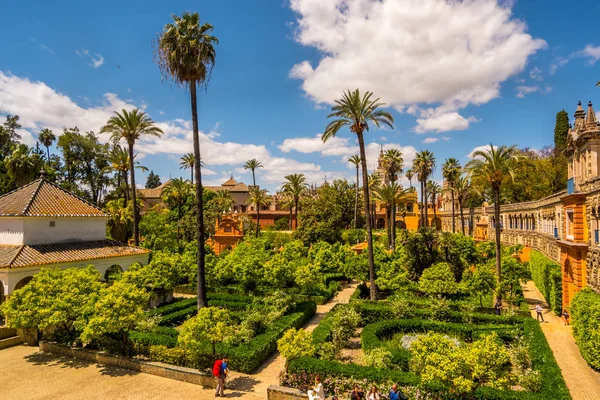 Real Jardines del Alcázar en Sevilla Andalucía España —  Fotos de Stock