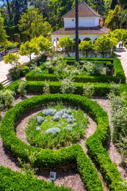 Sevilla Endülüs İspanya'da Gerçek Alcazar Bahçeleri