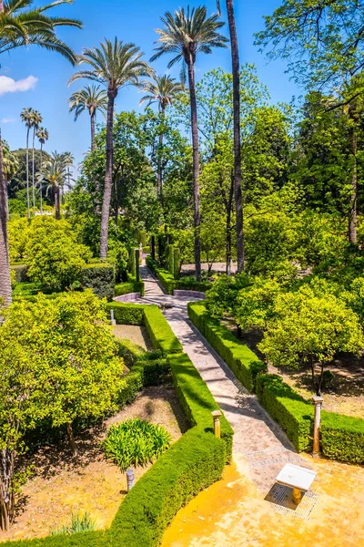Real Jardines del Alcázar en Sevilla Andalucía España — Foto de Stock