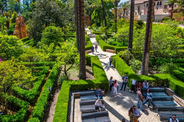 Gerçek alcazar bahçeleri seville İspanya — Stok fotoğraf
