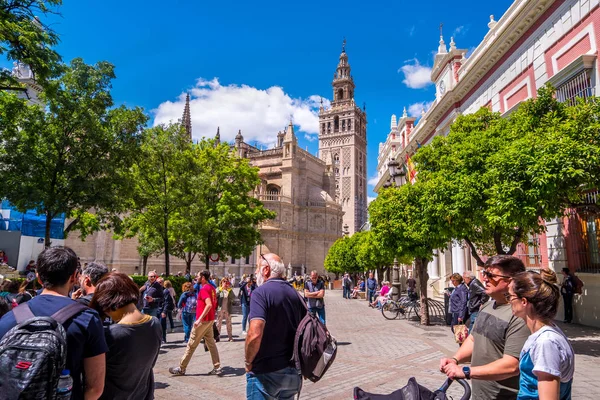 Sevilla, España - 8 de mayo de 2019 Catedral de Sevilla, vista desde la calle Mateos Gago . —  Fotos de Stock