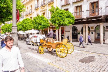 Sevilla, İspanya 8 Mayıs 2019 Sevilla at arabası, Endülüs, İspanya