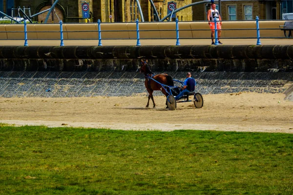 Morecambe 2020年5月2日Morecambe Sandsの男によって運転されている馬牽引トラップ — ストック写真