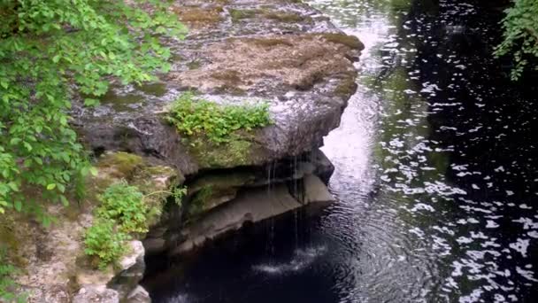 Video Primer Plano Pequeña Cascada Orilla Del Río Rocoso — Vídeo de stock