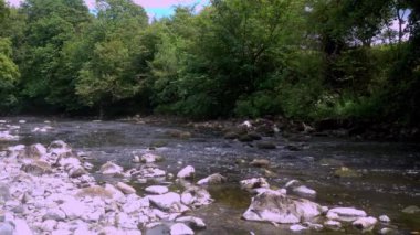 Cumbria 'da yavaş akan bir nehrin kenarından alınan 4K Video