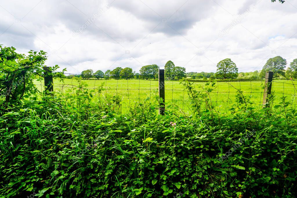 wire fence and hedge enclosing farmland at Sedgwick UK