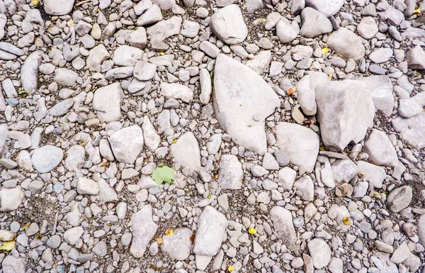 Naturligt Polerade Flodtvättade Stenar Och Småsten — Stockfoto