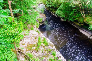 Kent Nehri Sedgwick İngiltere yakınlarındaki kayalık geçitten geçiyor.