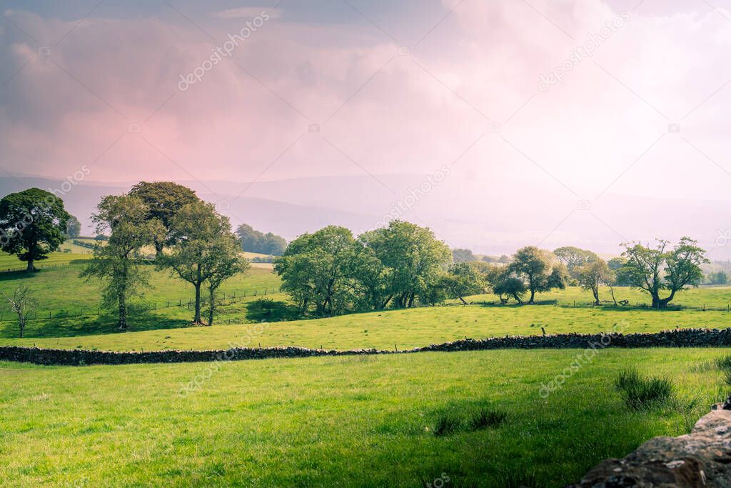 A Scenic Countryside View of a Spacious Open Grassland Field and a Blue Sky Above