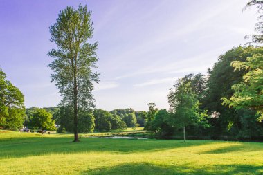 Güneşli bir akşamda Dallam Parkı 'nın açık parkı Milnthorpe,
