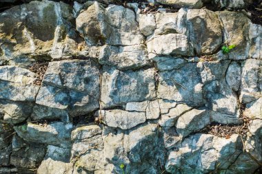 Kaya yüzeyindeki kireçtaşı parçalarının ayrıntıları.