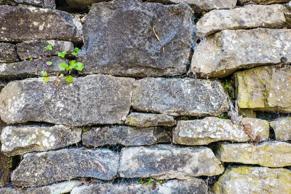 Ξηρό Πέτρινο Τείχος Στην Cumbria Αγγλίας — Φωτογραφία Αρχείου