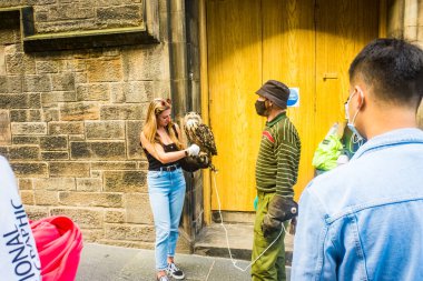 Edinburgh İskoçya 6 Ağustos 2020 Royal Mile 'da baykuş tutan genç bir kadın.