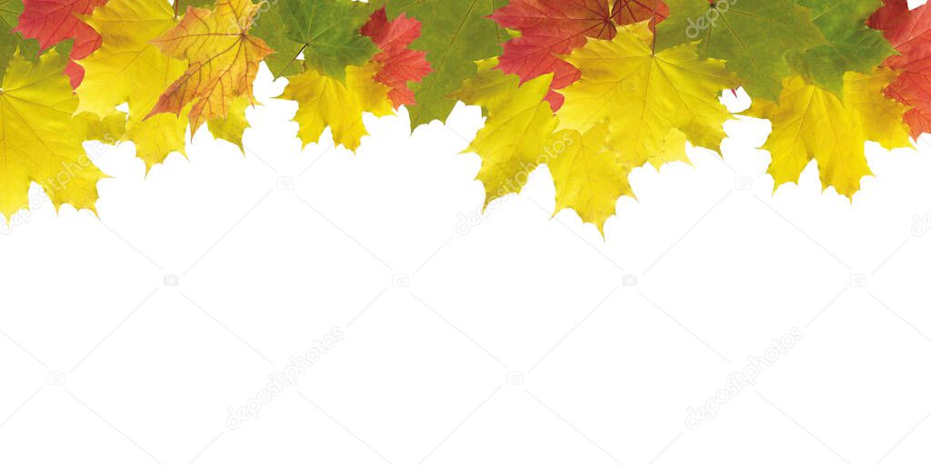 Beautiful brightly coloured Autumn frame on a white background