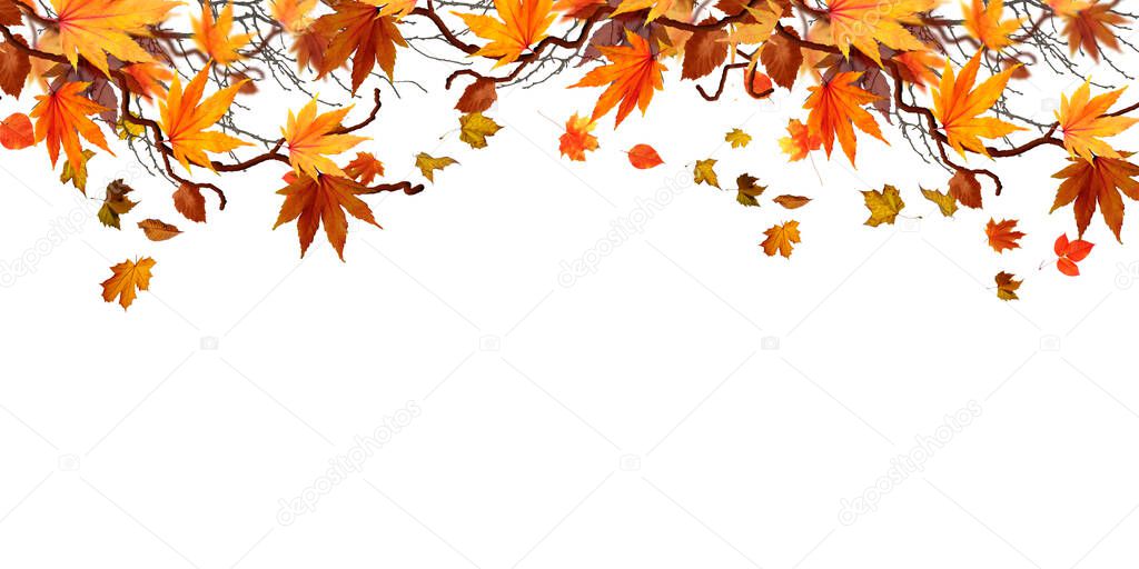 Beautiful brightly coloured Autumn frame on a white background