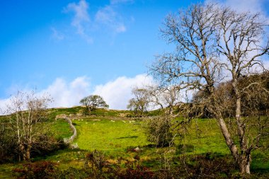 Distict Gölü yakınlarındaki açık tarım arazilerine bak.