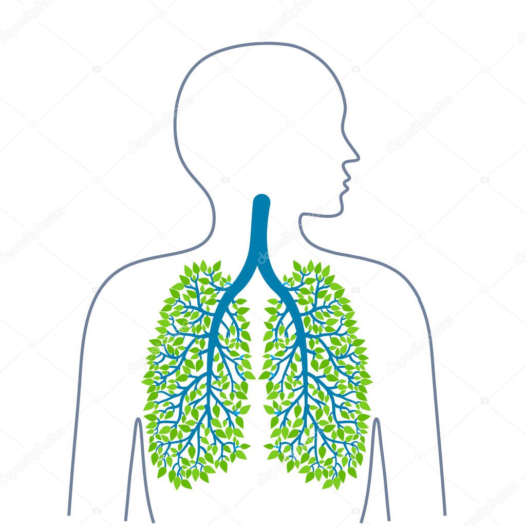 Human lungs. Healthy clean lungs. Bronchial tree. Ecology medicine and health. Healthy lifestyle. Vector illuiostrations.