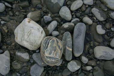  Yerdeki ıslak gri ve alacalı taşlar