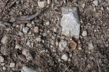 Gri taşları arasında eski somun