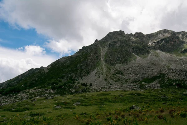 Flores Nas Montanhas Cáucaso Grandes Pedras Encosta Nuvens Sobre Montanhas — Fotografia de Stock