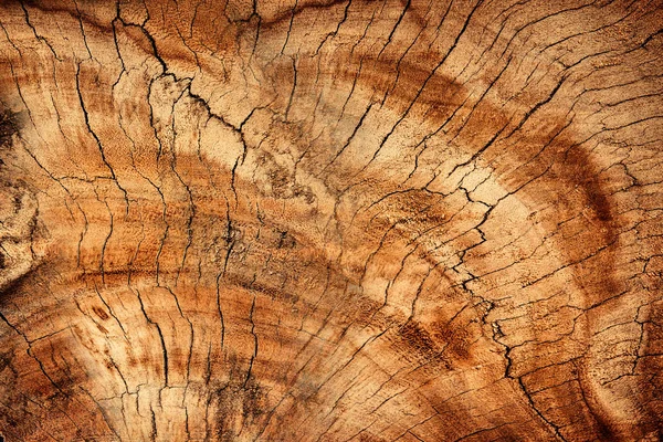 Holz Textur oder Holz Hintergrund. Holz für die Innenausstattung Deko lizenzfreie Stockbilder