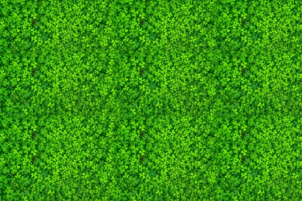 Closeup of green leaves texture background. Green leaves with be — Stock Photo, Image