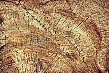 Ahşap doku veya ahşap arka plan. Ahşap iç dış deco için