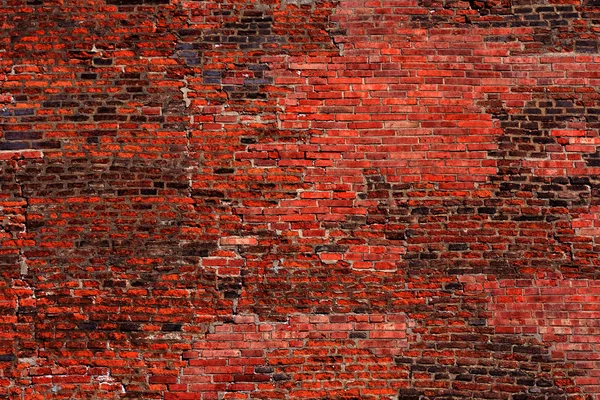 Picture of a brick wall used as a background