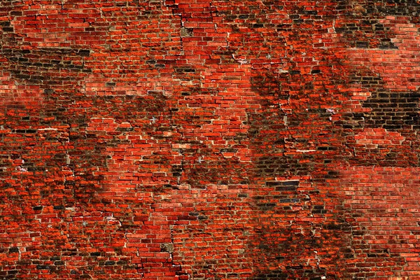 Picture of a brick wall used as a background