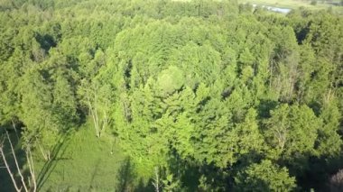 Küçük, düzgün vücutlu Nehri'nin hava atış. Yukarıda da görüleceği bahar ışık küçük nehir