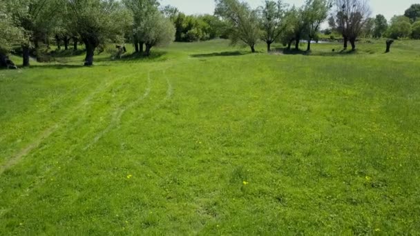 Europeiskt Landsbygdslandskap Sett Uppifrån Flygfoto Naturen Europa — Stockvideo