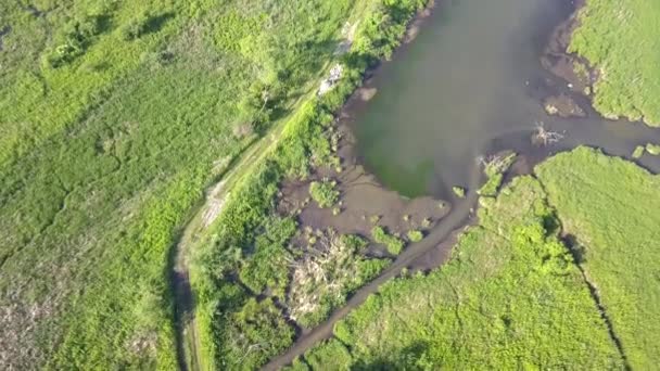 Повітряний Постріл Маленької Пишної Річки Маленька Річка Зверху Під Весняним — стокове відео