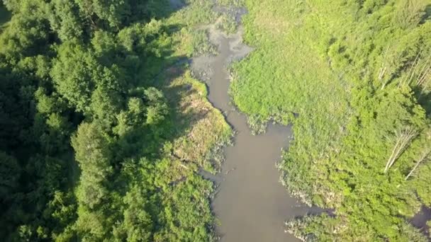小さな 曲がりくねった川の空中ショットは 小さな川の上から見ると春の光の中 — ストック動画