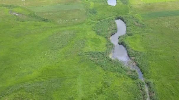 Zdjęcia Lotnicze Małych Zakręt Rzeki Małe Rzeki Widać Powyżej Wiosna — Wideo stockowe