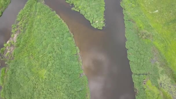 Повітряний Постріл Маленької Пишної Річки Маленька Річка Зверху Під Весняним — стокове відео