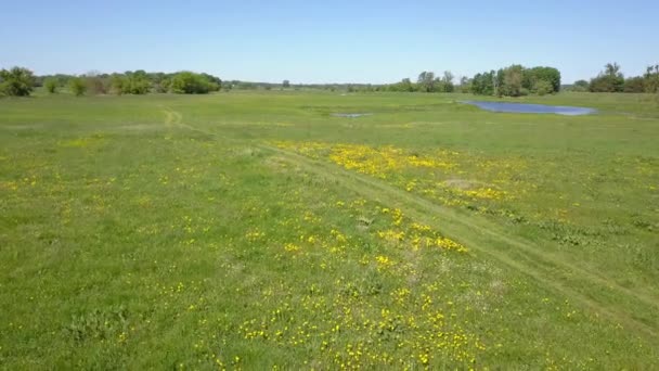 Paysage Rural Européen Haut Vue Aérienne Nature Europe — Video