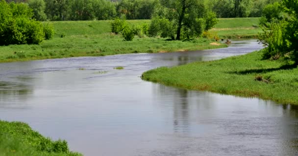 Kleine Rivier Rawka Het Midden Van Polen — Stockvideo