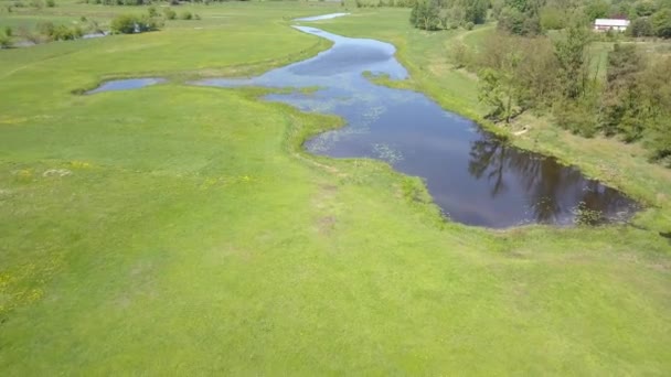 Antenn Skott Små Kurviga Floden Liten Flod Sett Från Ovan — Stockvideo