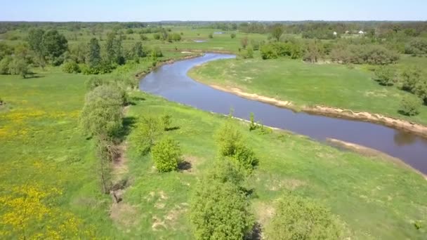 空中拍摄的小 弯曲的河流 从上面看到的小河流在春天的灯光下 — 图库视频影像