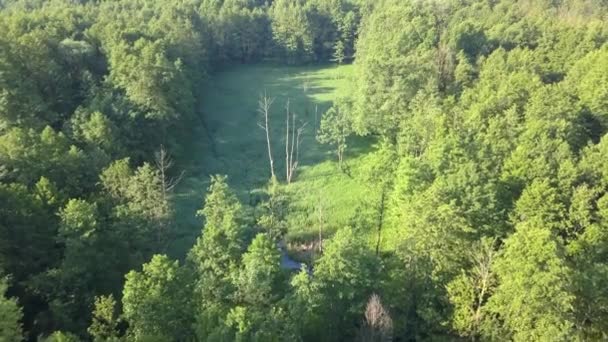 Paesaggio Rurale Europeo Visto Dall Alto Colpo Aereo Della Natura — Video Stock