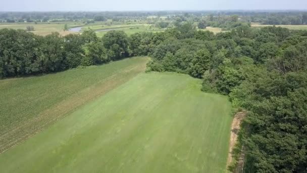 Paysage Rural Européen Haut Vue Aérienne Nature Europe — Video