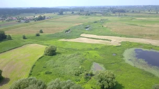 上から見たヨーロッパの田園風景 ヨーロッパでの自然の空中撮影 — ストック動画