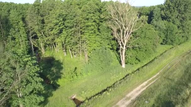 Európai Vidéki Táj Felülről Nézve Természet Légi Felvételei Európában — Stock videók