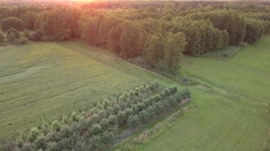 Avrupa kırsal manzarası yukarıdan görünüyor. Avrupa 'da doğanın hava görüntüsü.