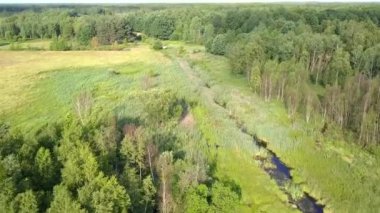 Avrupa kırsal manzarası yukarıdan görünüyor. Avrupa 'da doğanın hava görüntüsü.