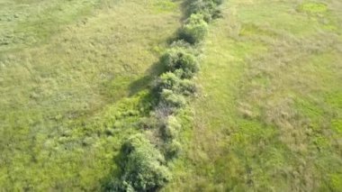 Avrupa kırsal manzarası yukarıdan görünüyor. Avrupa 'da doğanın hava görüntüsü.