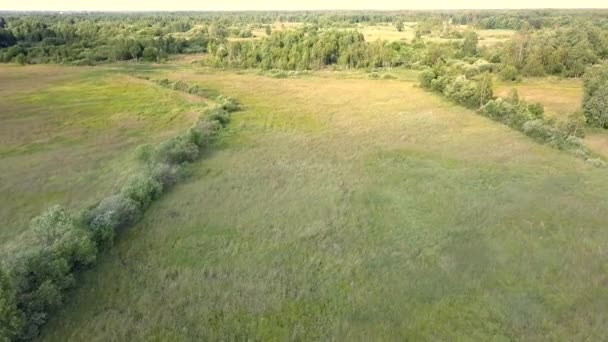 Europeiskt Landsbygdslandskap Sett Uppifrån Flygfoto Naturen Europa — Stockvideo