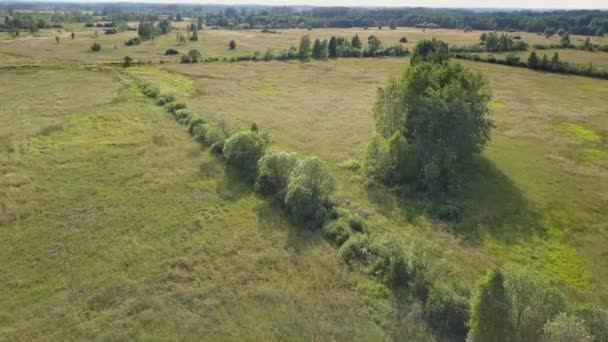 上から見たヨーロッパの田園風景 ヨーロッパでの自然の空中撮影 — ストック動画